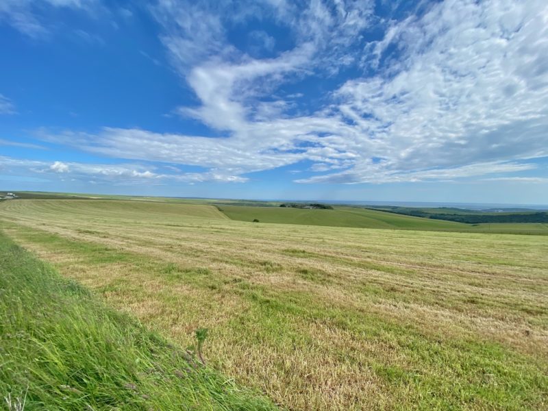 South Downs Way. Image © PlanetSKI